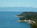 New_Zealand (351)